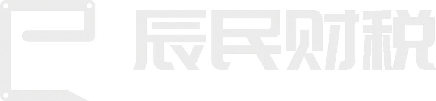 云南辰民智能财税科技有限公司